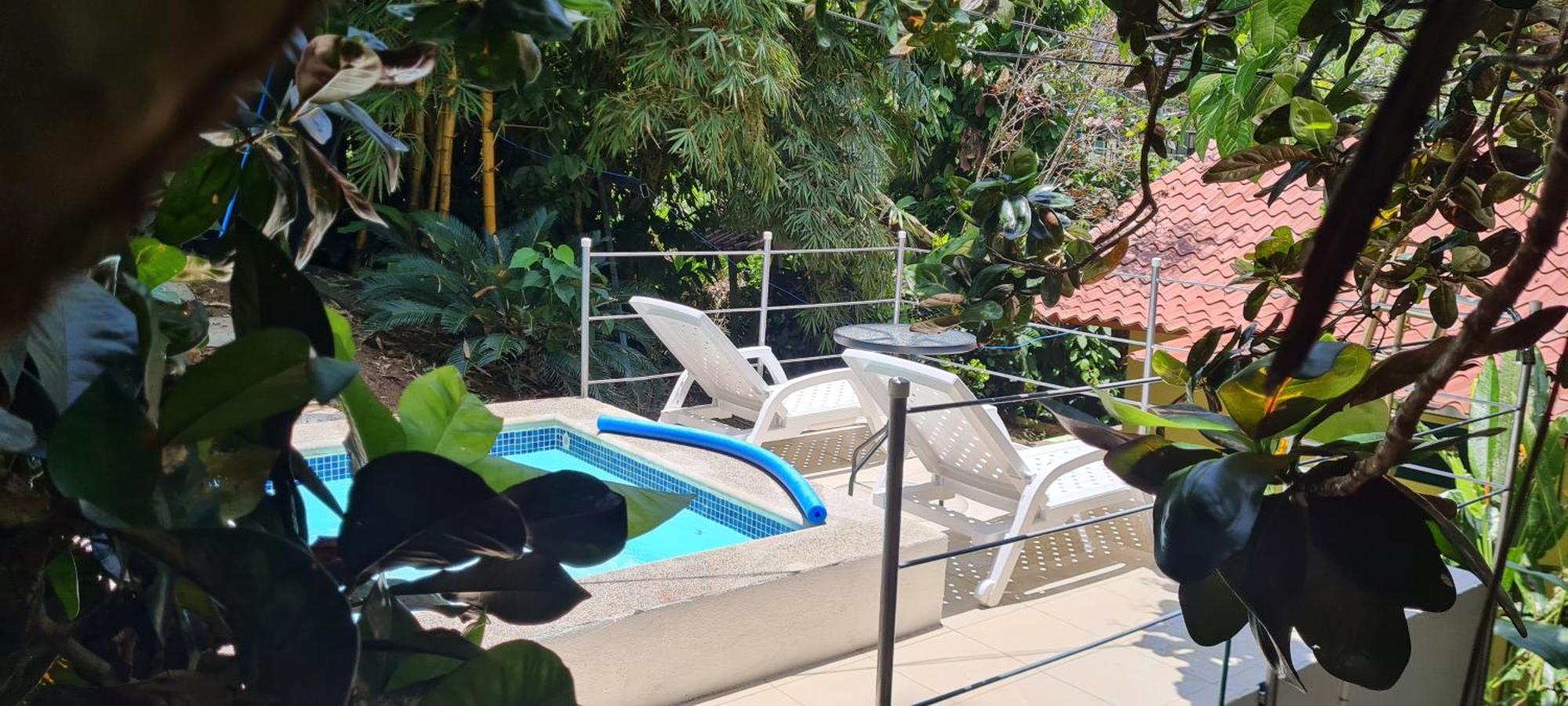 Jungle Beach Bungalow With Ac & Fiber Optic Puerto Viejo de Talamanca Exteriör bild